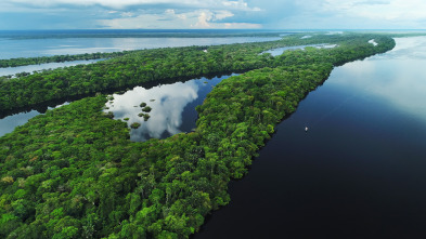 Imagen de Grandes ríos: Amazonas - 13