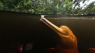 Imagen de Grandes ríos: Amazonas - 14