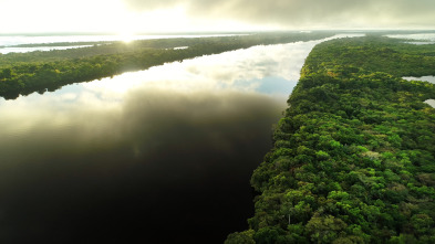 Imagen de Grandes ríos: Amazonas - 15