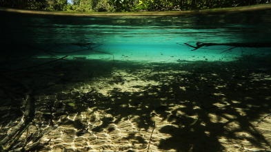 Grandes ríos: Amazonas