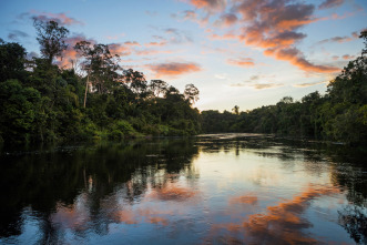 Imagen de Grandes ríos: Amazonas - 1