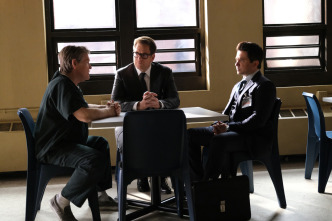 Imagen de Bull (T3) - 9