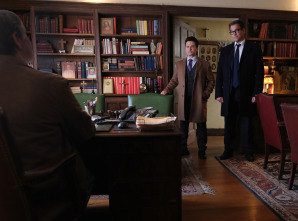 Imagen de Bull (T3) - 12