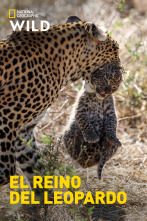 El reino del leopardo