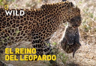 El reino del leopardo