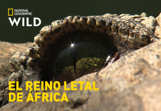 Imagen de El reino letal de África: Praderas - 2