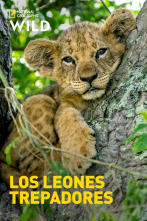 Imagen de Los leones trepadores - 1