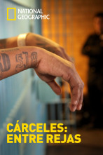 Imagen de Cárceles: Entre rejas  - 1