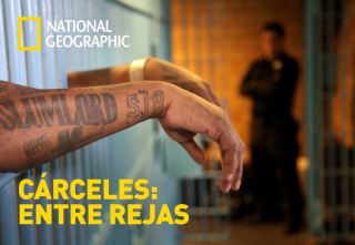 Imagen de Cárceles: Entre rejas  - 2