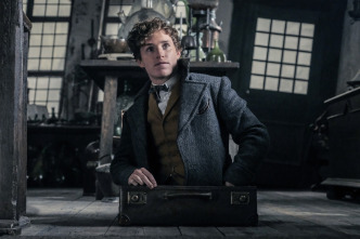 Imagen de Animales fantásticos: Los crímenes de Grindelwald - 5