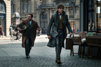 Imagen de Animales fantásticos: Los crímenes de Grindelwald - 7