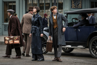 Imagen de Animales fantásticos: Los crímenes de Grindelwald - 9