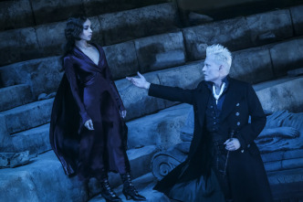 Imagen de Animales fantásticos: Los crímenes de Grindelwald - 11