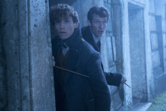 Imagen de Animales fantásticos: Los crímenes de Grindelwald - 12