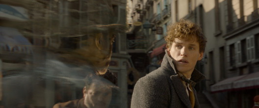 Imagen de Animales fantásticos: Los crímenes de Grindelwald - 13