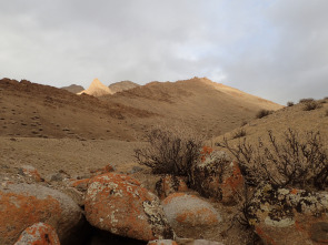 Wild Mongolia: tierra de extremos 