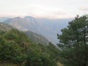 Imagen de Wild Taiwán: la isla de la selva - 11