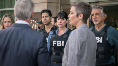Imagen de Mentes criminales (T13): Ep.15 Aniquilador - 1