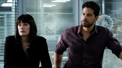 Imagen de Mentes criminales (T14): Ep.9 Ala rota - 2