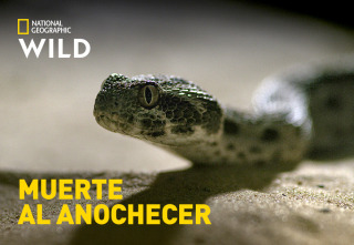 Imagen de Muerte al anochecer  - 2