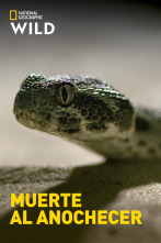 Imagen de Muerte al anochecer  - 1