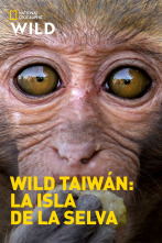 Wild Taiwán: la isla de la selva