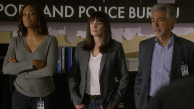 Imagen de Mentes criminales (T14): Ep.11 Luces de noche - 2