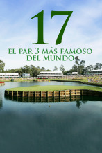 Imagen de 17, el par 3 más famoso del mundo - 1