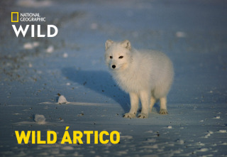 Wild Ártico: Islas de hielo y fuego