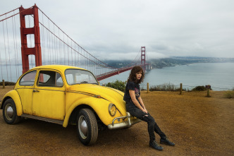 Imagen de Bumblebee - 8