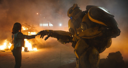Imagen de Bumblebee - 12