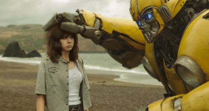Imagen de Bumblebee - 11