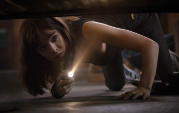 Imagen de Bumblebee - 14