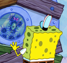 Imagen de Bob Esponja  Single Story (T9) - 3