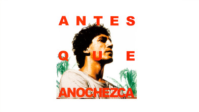 Imagen de Antes que anochezca - 2