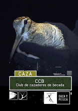 CCB: Club de Cazadores de Becada