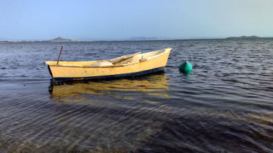 Salvemos nuestro Mediterráneo