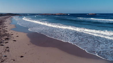 Salvemos nuestro Mediterráneo