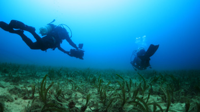 Salvemos nuestro Mediterráneo