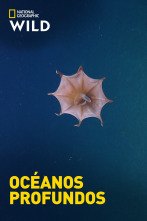 Imagen de Océanos profundos - 1