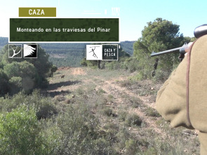 Imagen de Monteando en las traviesas del Pinar - 2
