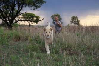 (LSE) - Mia y el león blanco