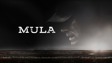 Mula