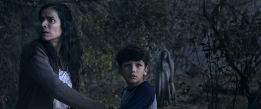 Imagen de La Llorona - 4
