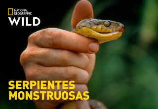 Imagen de Serpientes monstruosas - 2