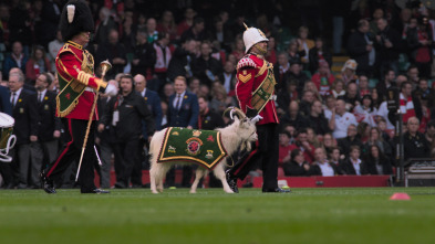 Imagen de Historia del rugby: El deporte del Imperio - 9