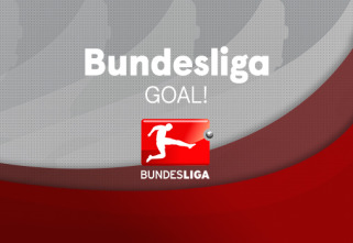 Imagen de Goal! (15/16) - 2