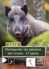Imagen de Monteando los jabalíes del rincón. 1ª parte - 1