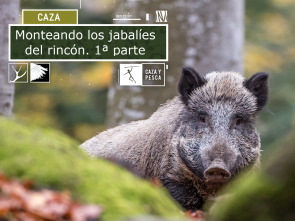 Imagen de Monteando los jabalíes del rincón. 1ª parte - 2