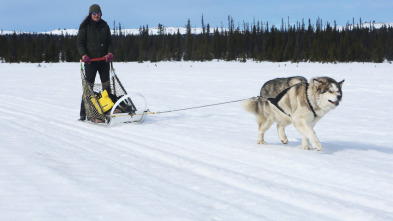 Imagen de Alaska, última frontera (T9) - 5